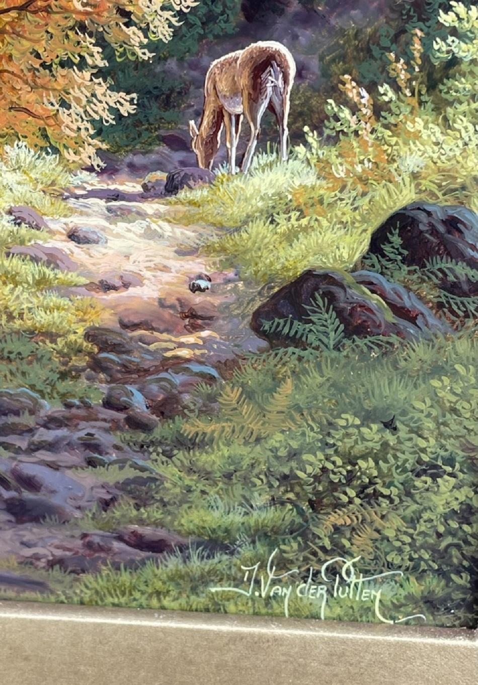Daniel Van Der Putten Torc Wasserfall Killarney National Park Co. Kerry Irland (Moderne) im Angebot