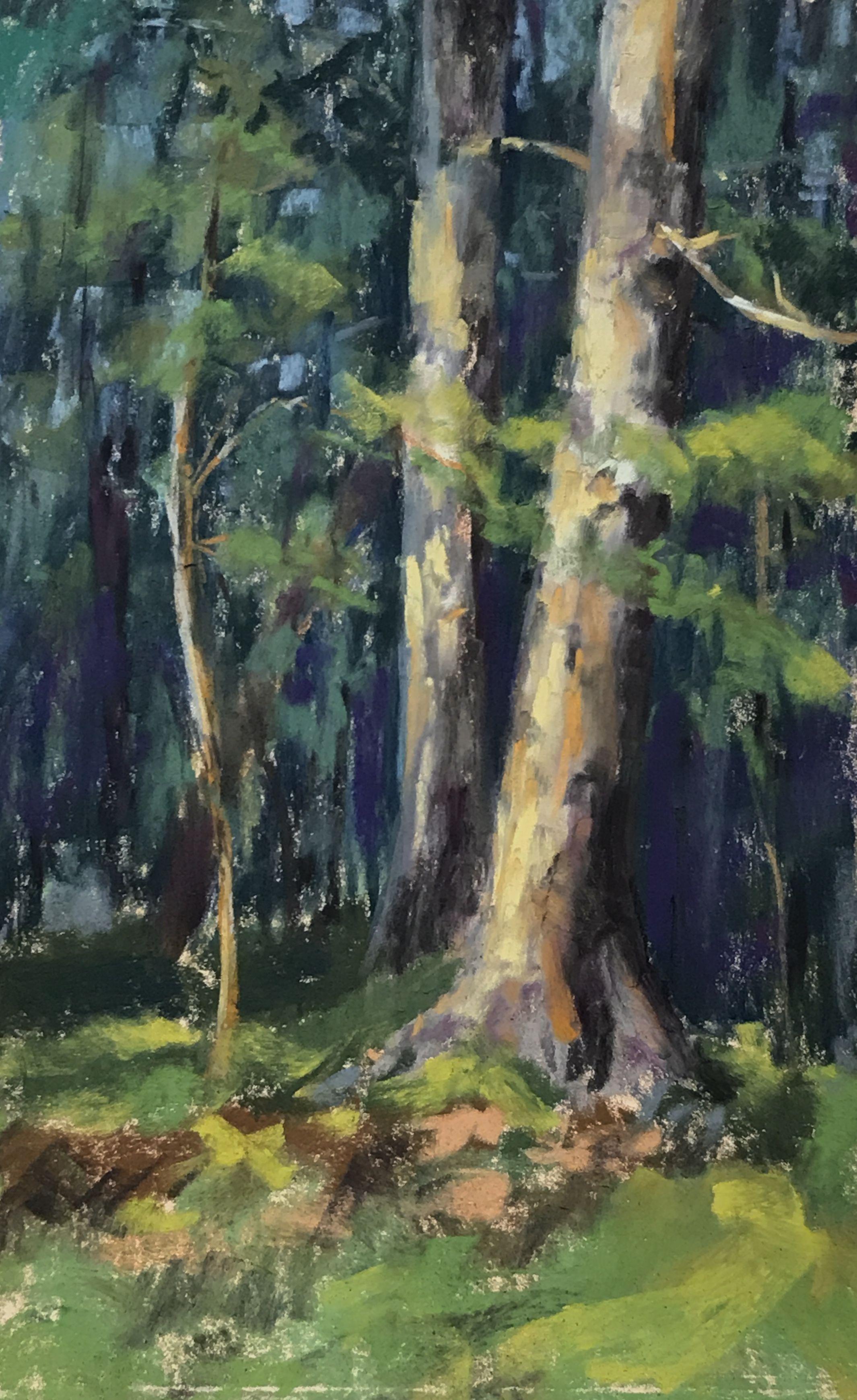 Oaks on the Drive, Painting, Pastels on Pastel Sandpaper