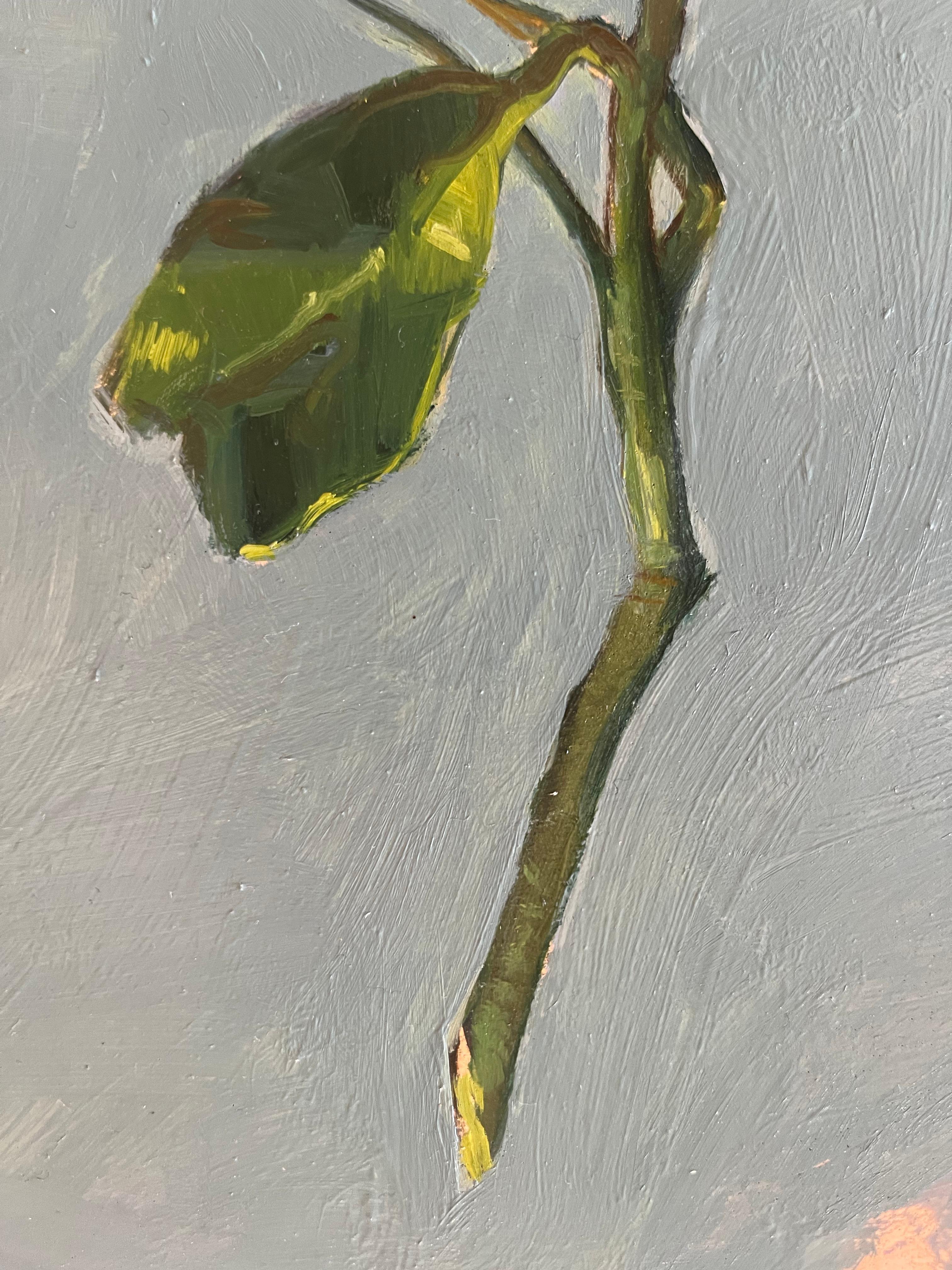 Limoni 2