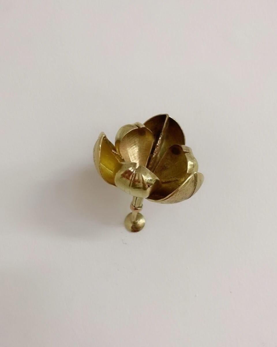11 Tefe Flowers For Sale 1