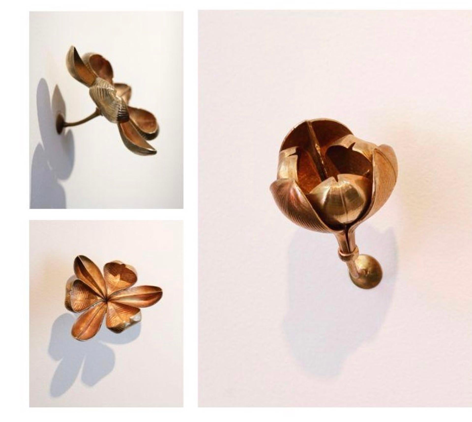 11 Tefe Flowers - Sculpture by Daniela Cutait