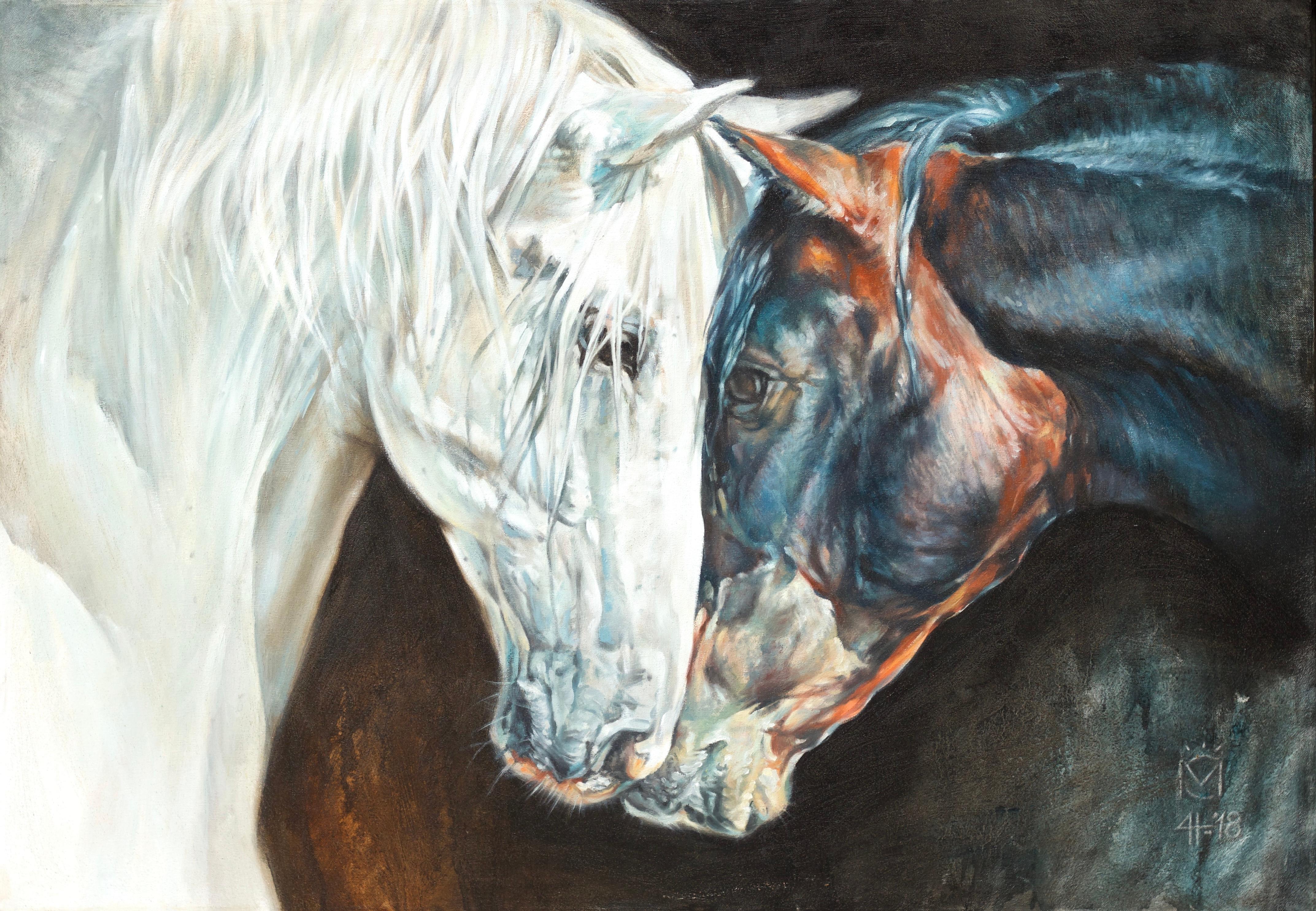 Animal Painting Daniela Nikolova - Tête à tête entre chevaux noirs et blancs