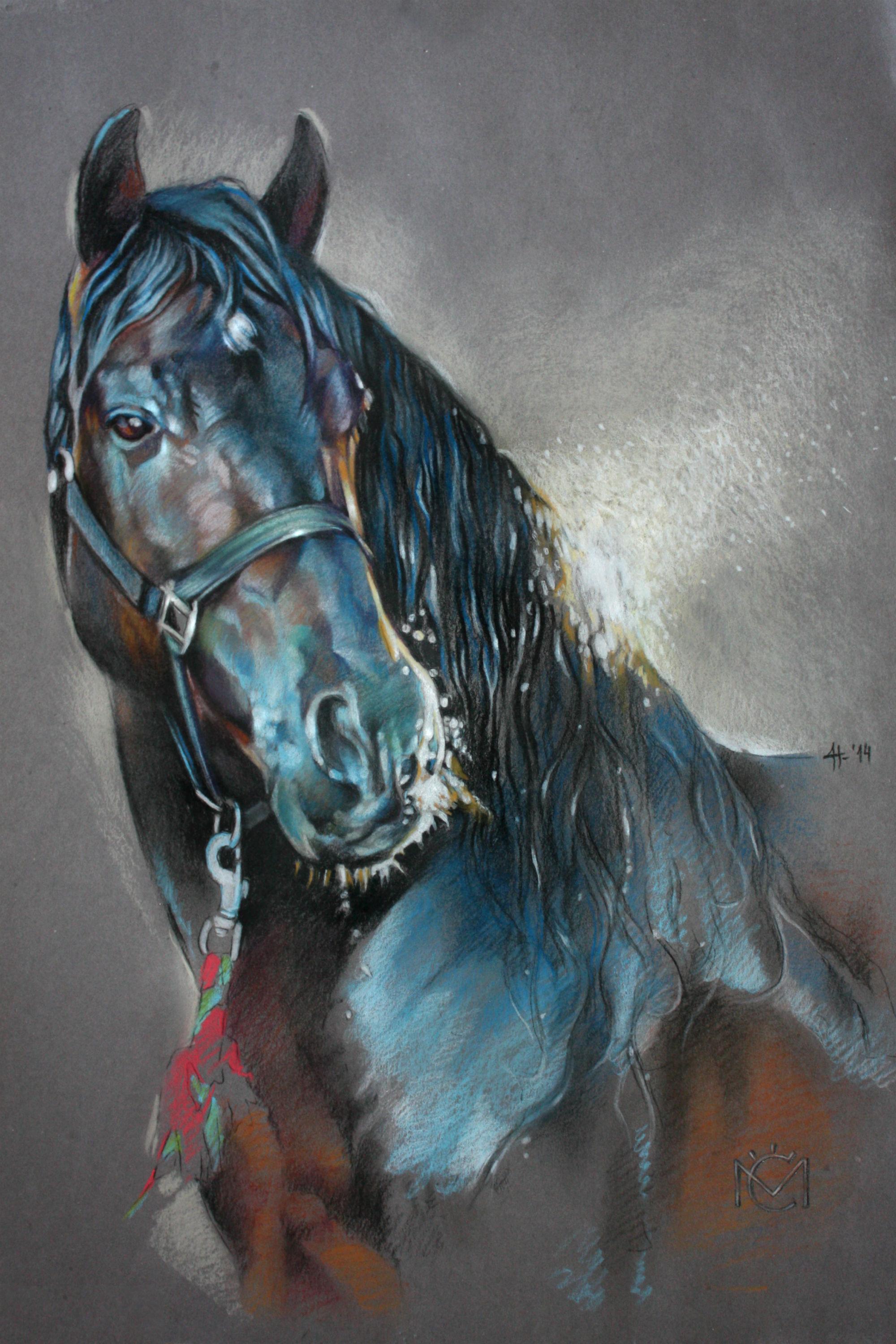 Daniela Nikolova Animal Painting - Pastel Pencil