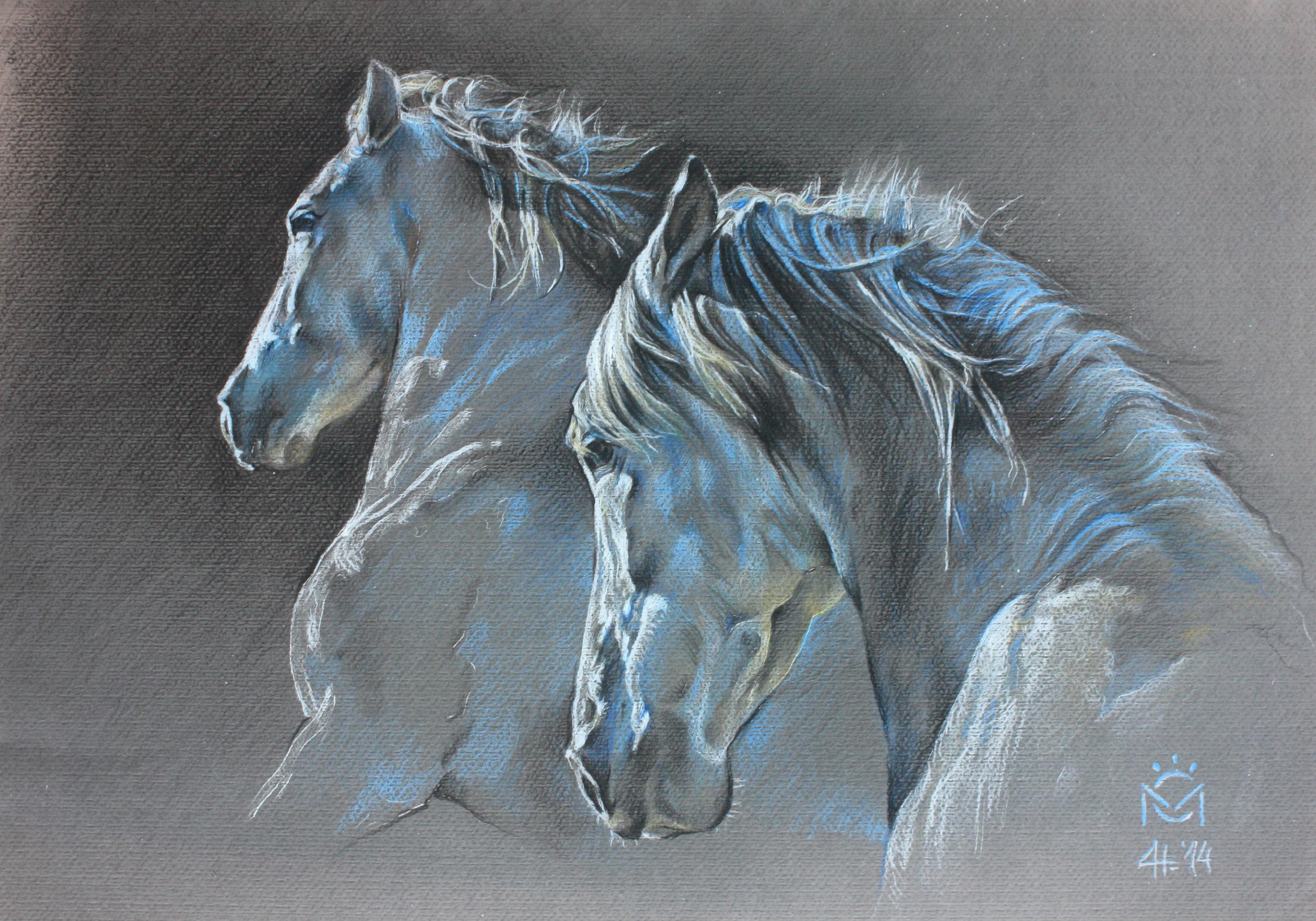 Daniela Nikolova Animal Painting - Pastel Pencil