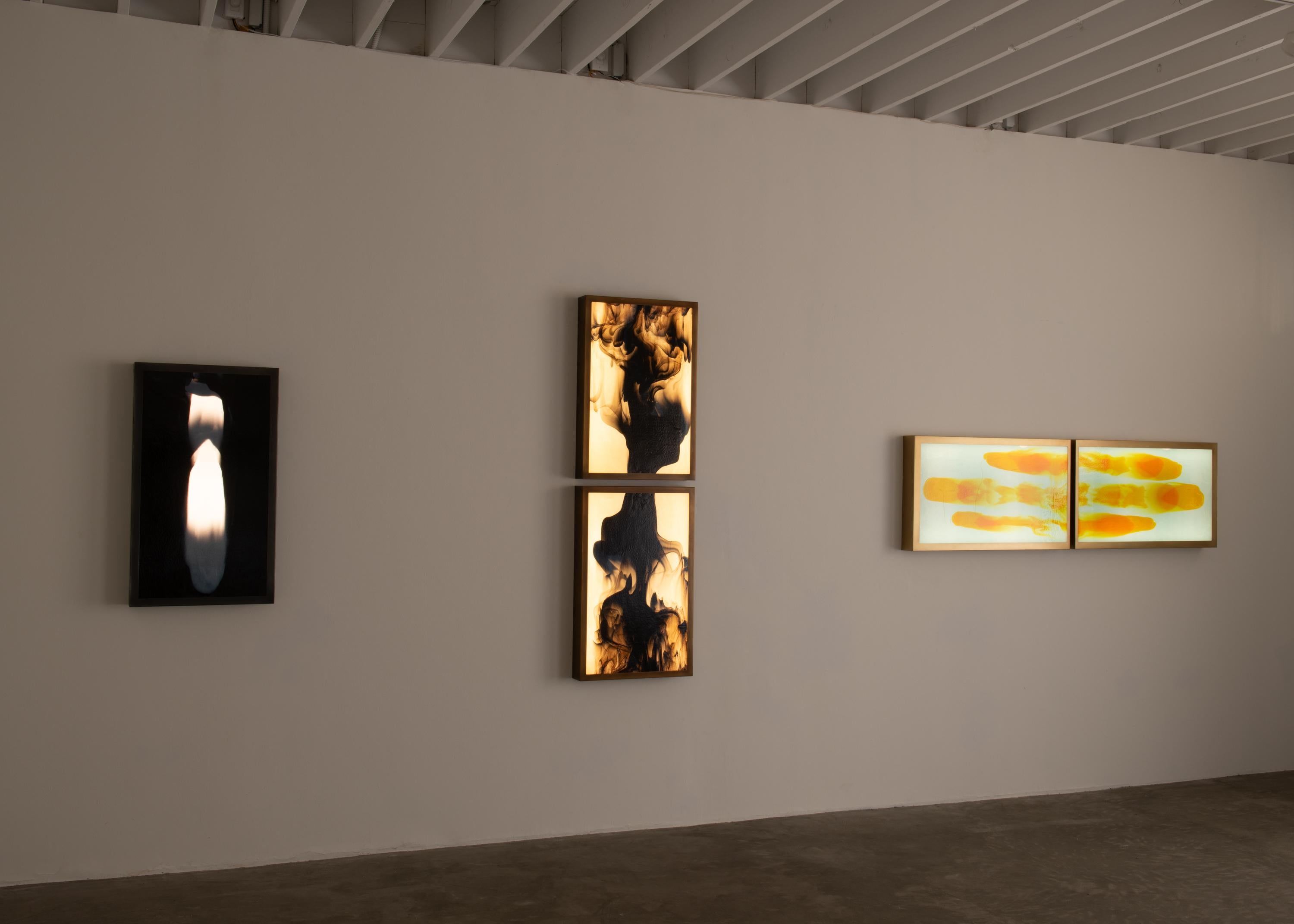 XXIe siècle et contemporain Sculpture lumineuse Meltform n° 10, Daniele Albright, 2019 en vente