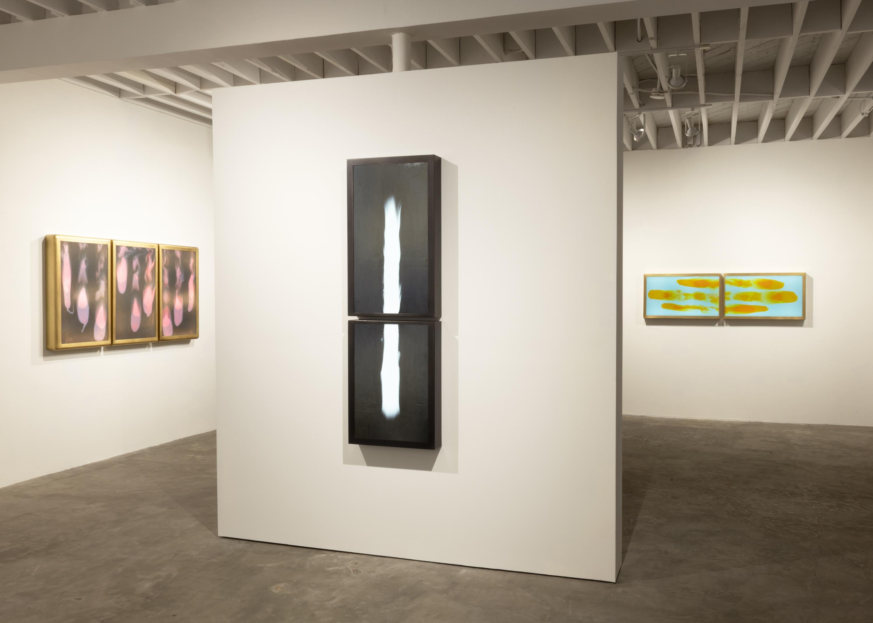 Sculpture lumineuse Meltform n° 12, Daniele Albright, 2019 Neuf - En vente à Los Angeles, CA