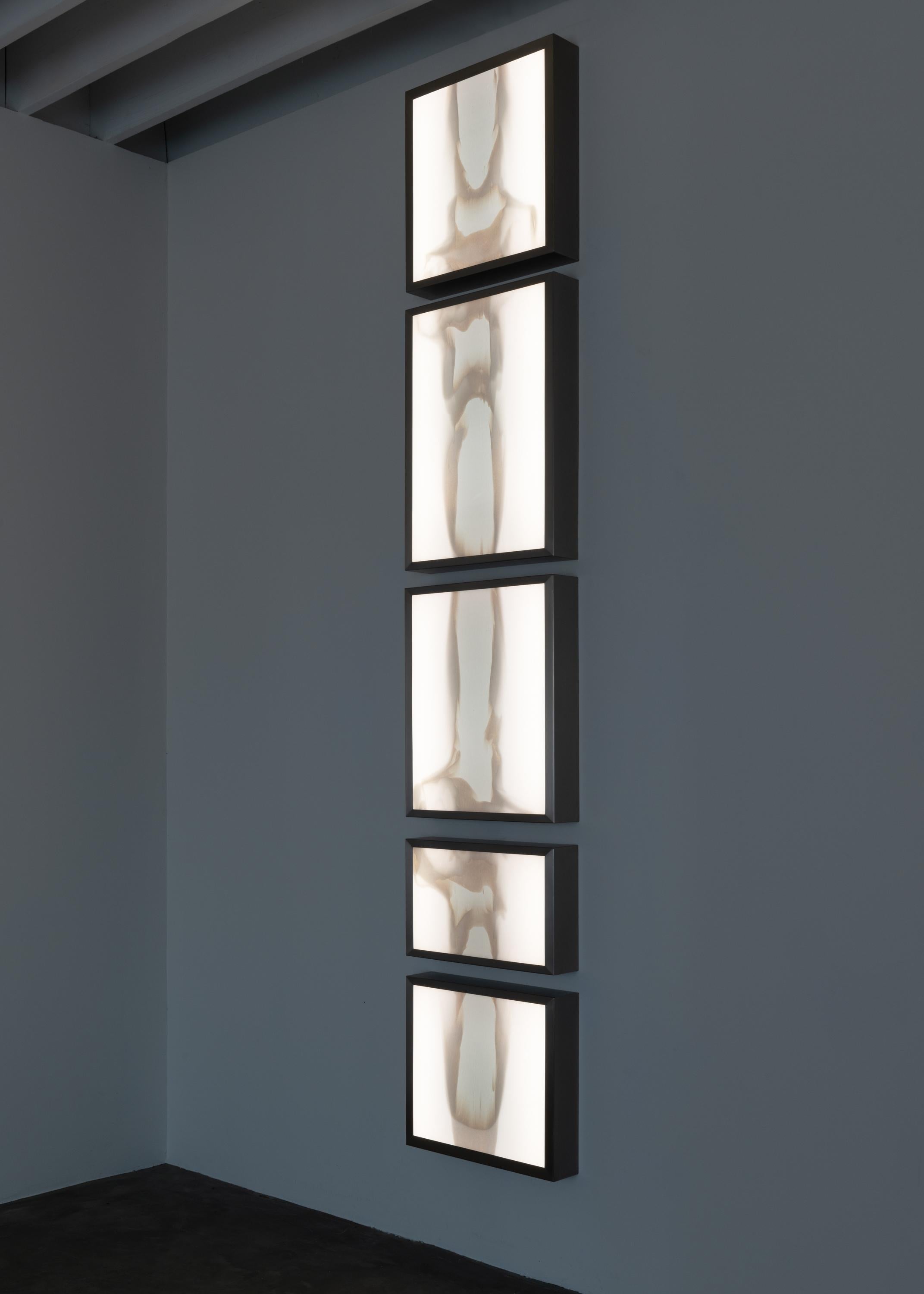 Meltform no. 6 tisse visuellement des panneaux de verre coloré coulés à la main en une composition continue et ondulante. Constituée de cinq caissons lumineux individuels installés en ligne verticale, l'œuvre met l'accent sur la continuité et la
