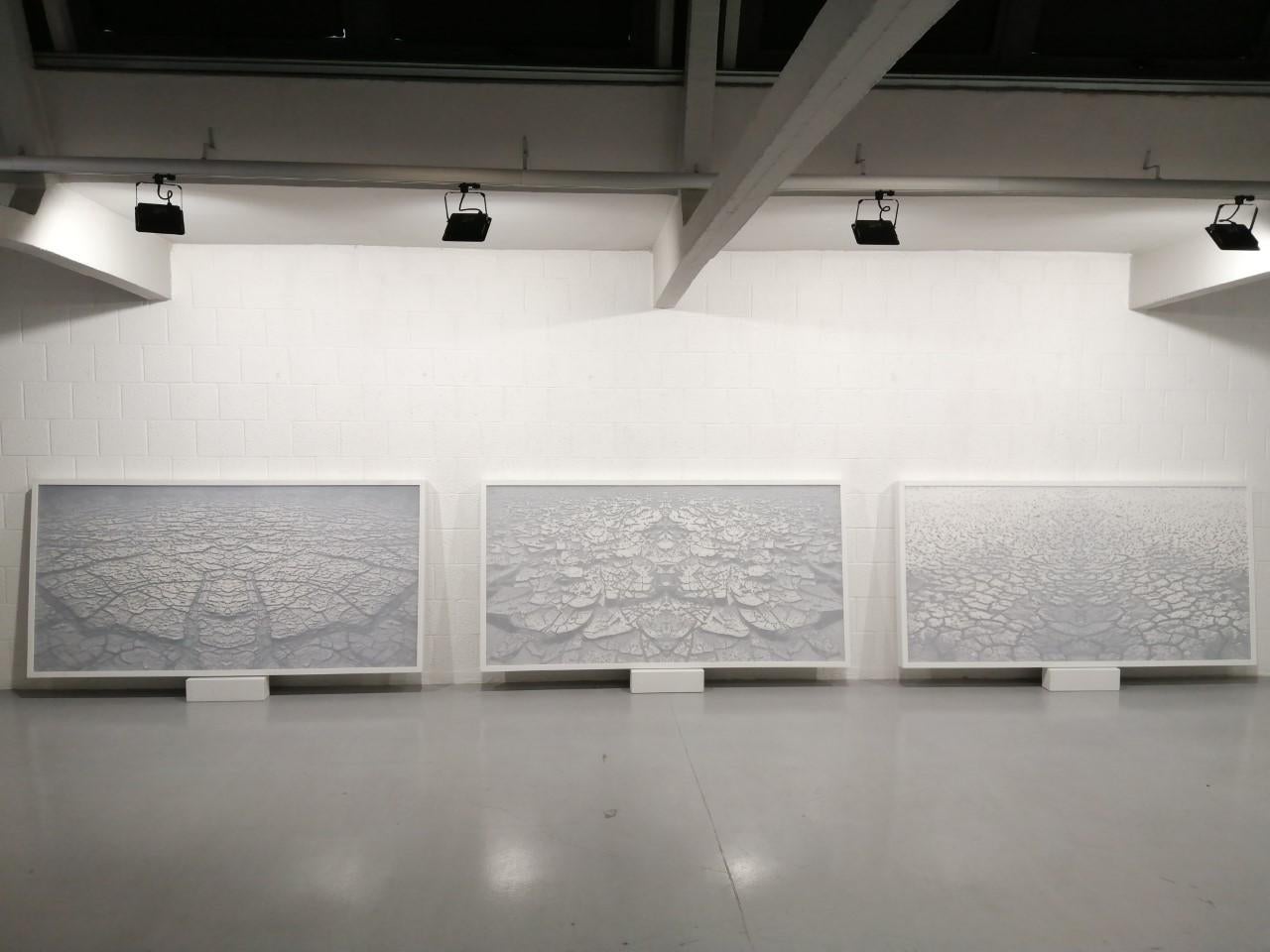 Desert 1, 2010 - Gray Landscape Painting by Daniele D'Acquisto