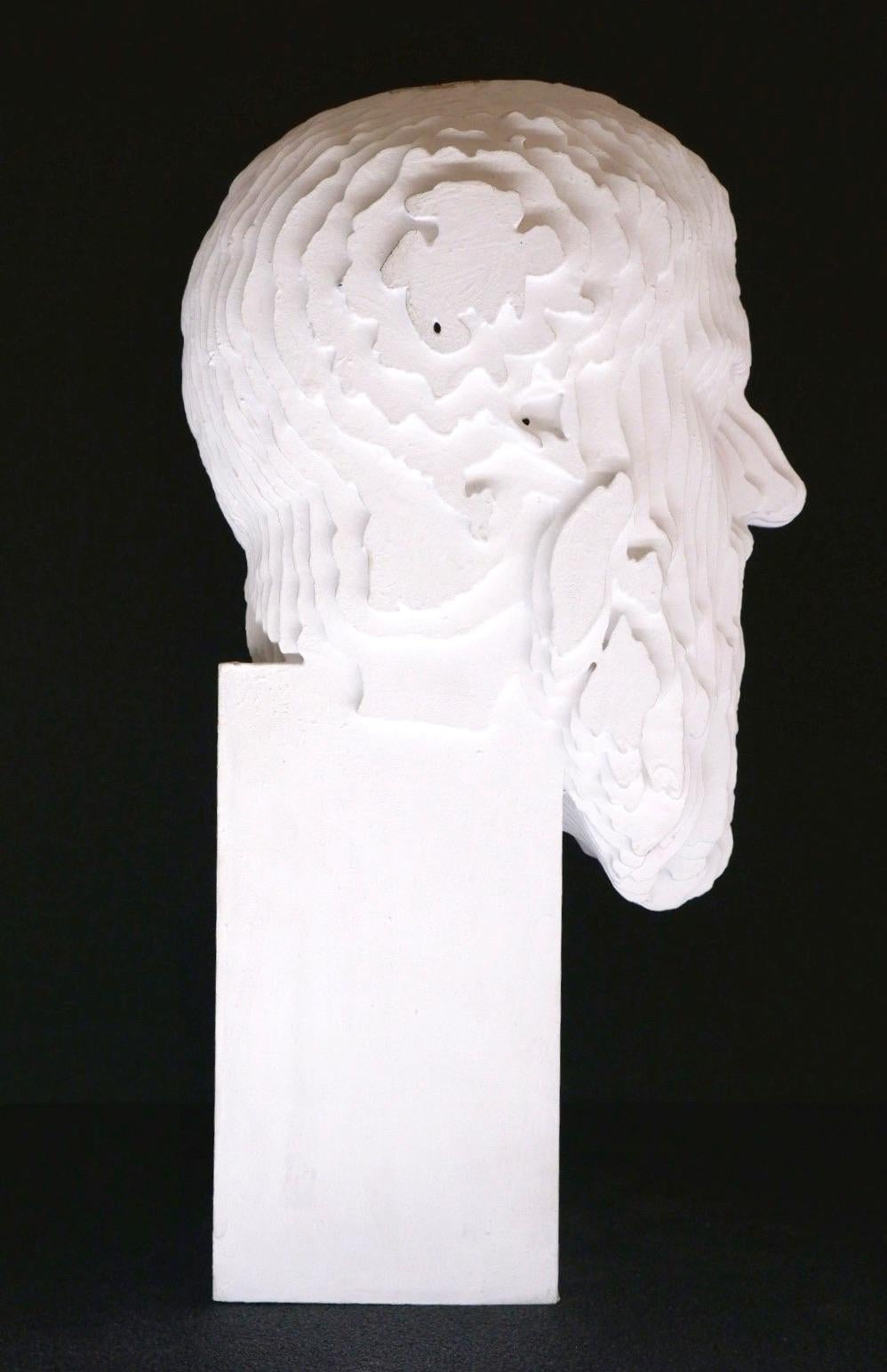 Colormination Plato – Original-Skulptur  (Zeitgenössisch), Sculpture, von  Daniele Fortuna