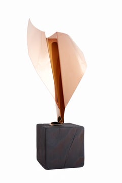 Daniele Sigalot, Clearly not a paperplane, 2021, Sculpture, Chromed steel