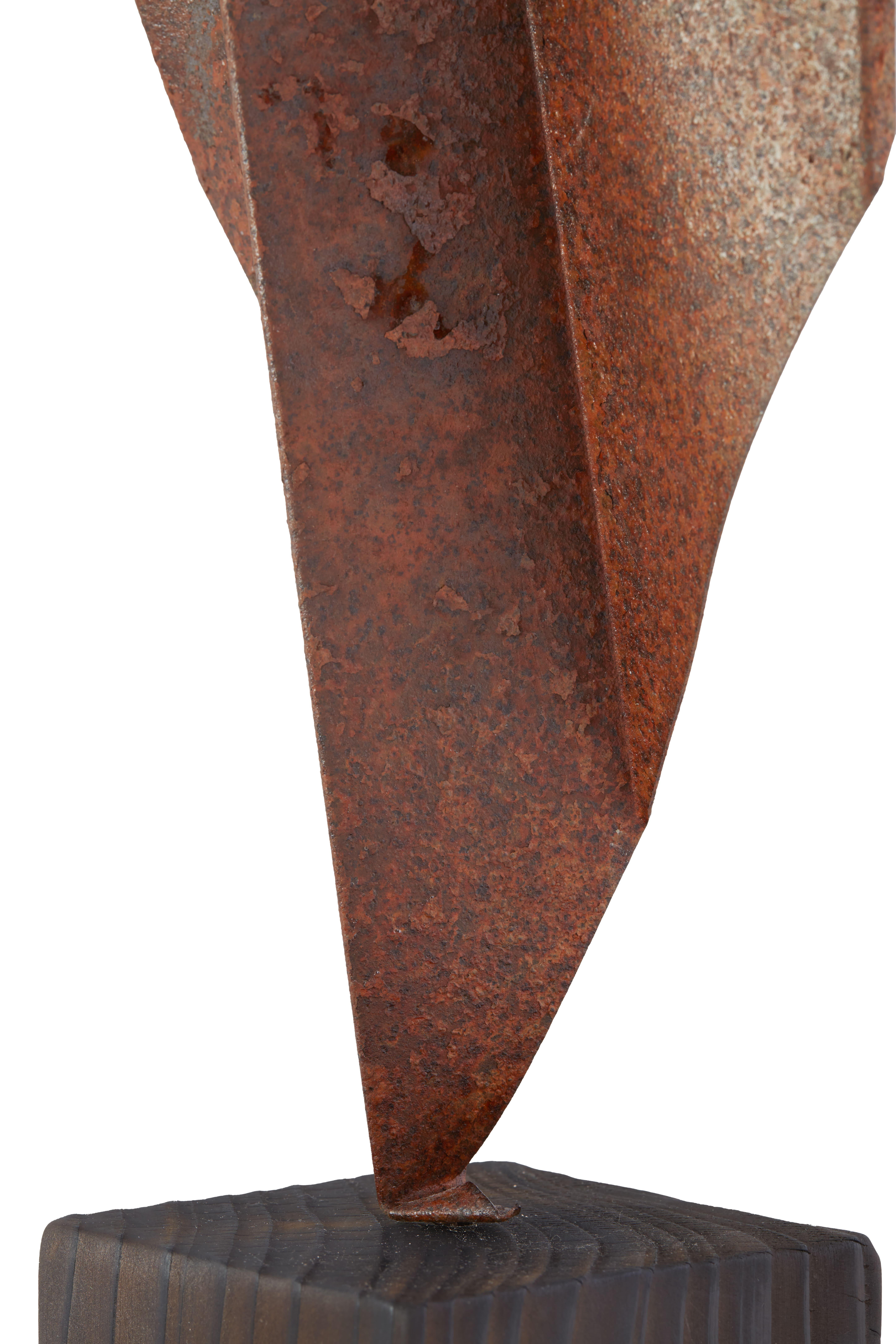 Daniele Sigalot, « Clearly not a paperplane », 2021, Sculpture, acier Corten - Conceptuel Mixed Media Art par Daniele Sigalot 