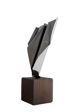 Daniele Sigalot, Clearly not a paperplane, 2021, scupture, dark silver steel