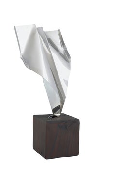 Daniele Sigalot, Clearly not a paperplane, 2021, Sculpture, silver