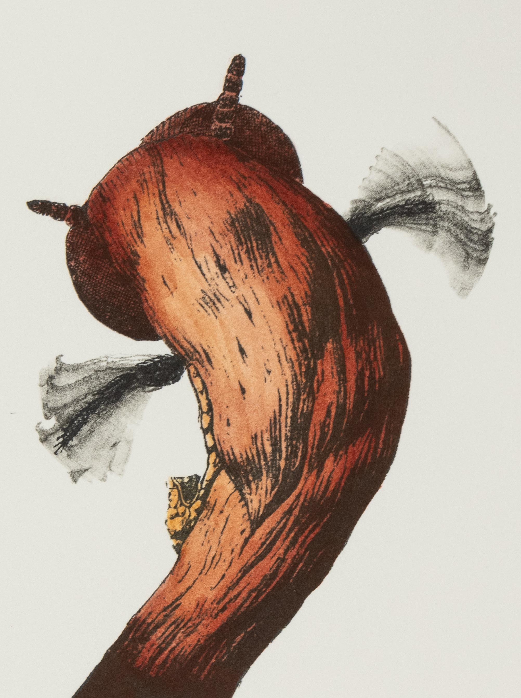Unbenannt – Print von Daniella Dooling