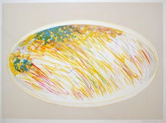 Vintage Floral Mirror - Lithograph by Danilo Bergamo - 1970s