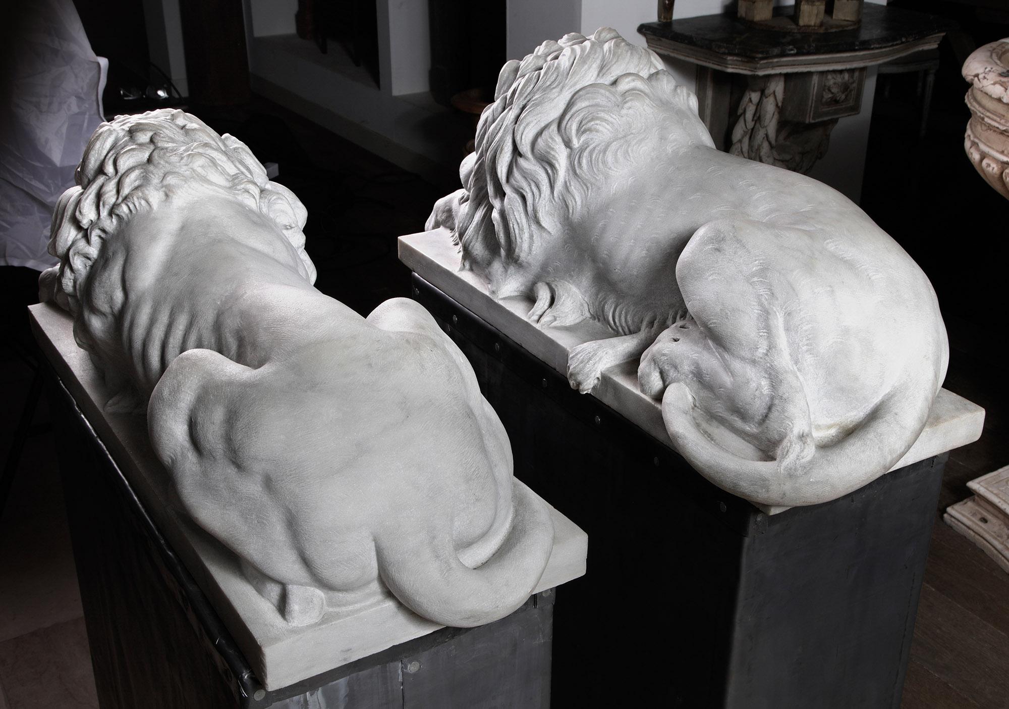 Danilo Cervietti Pair of Marble Canova Lions - Second half 20th Century For Sale 6