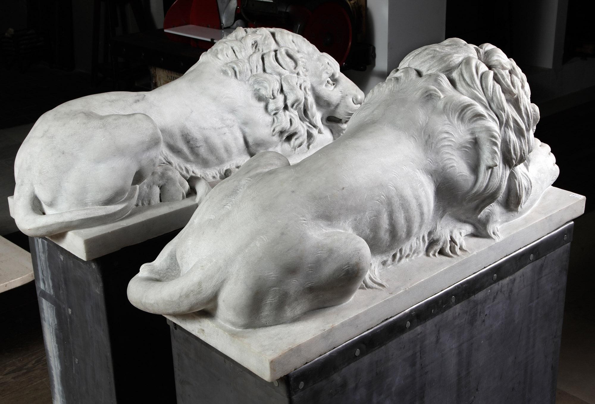 Danilo Cervietti Pair of Marble Canova Lions - Second half 20th Century For Sale 7