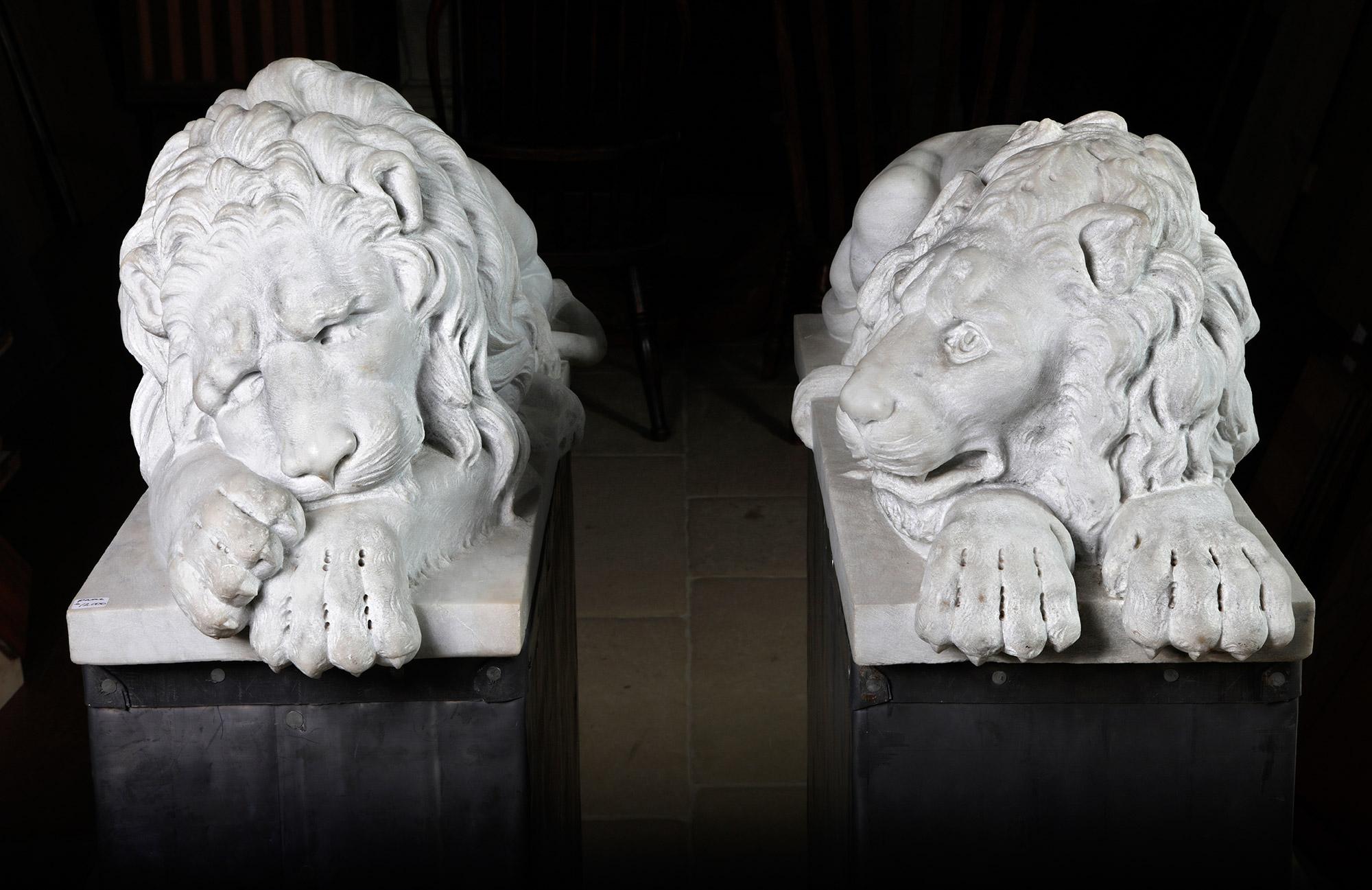 Danilo Cervietti Pair of Marble Canova Lions - Second half 20th Century For Sale 8