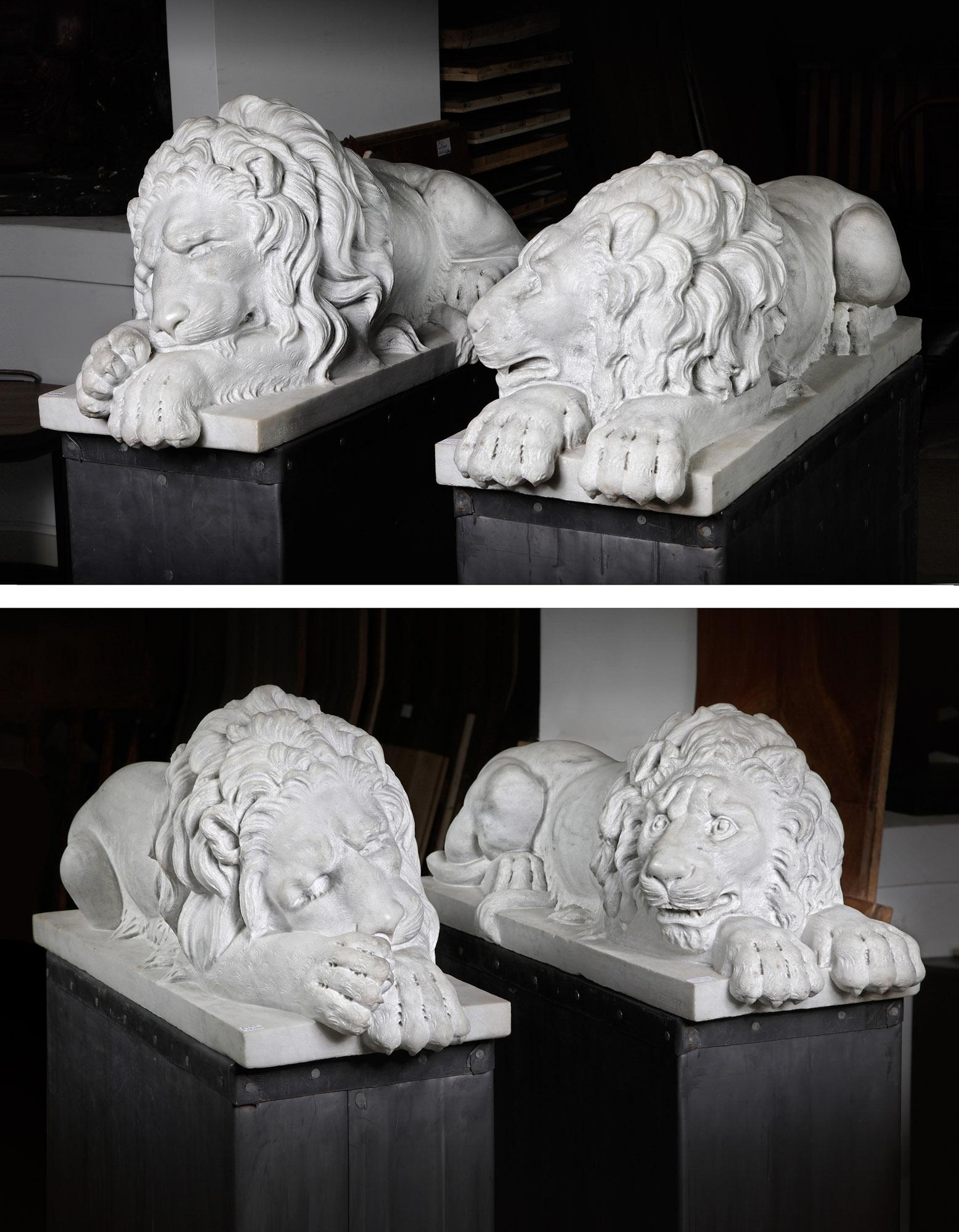 Danilo Cervietti Pair of Marble Canova Lions - Second half 20th Century For Sale 3