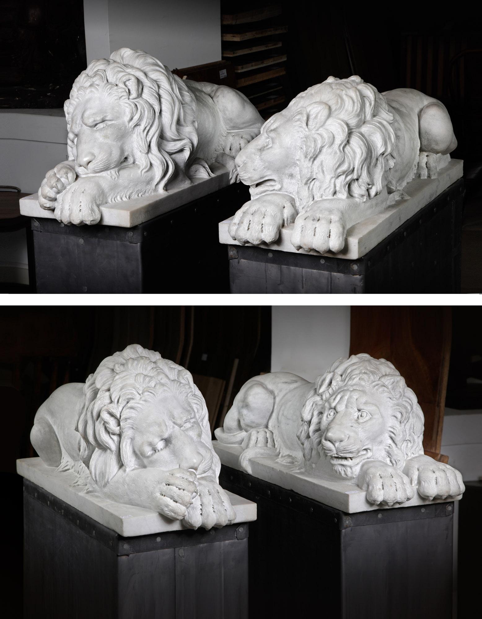 Danilo Cervietti Pair of Marble Canova Lions - Second half 20th Century For Sale 4