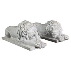 Danilo Cervietti Pair of Marble Canova Lions - Second half 20th Century