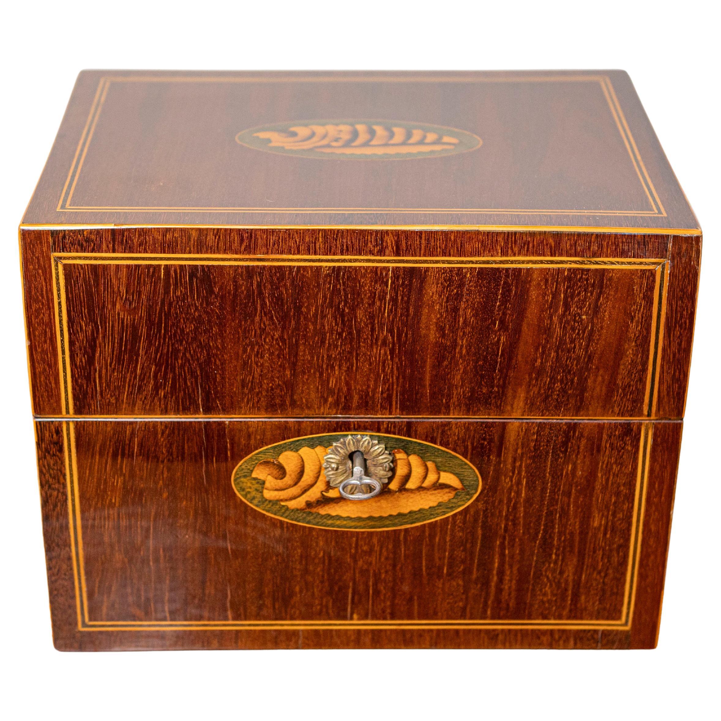 Danish 1840s Mahogany Box with Ash Shell Marquetry, Banding and Lateral Handles