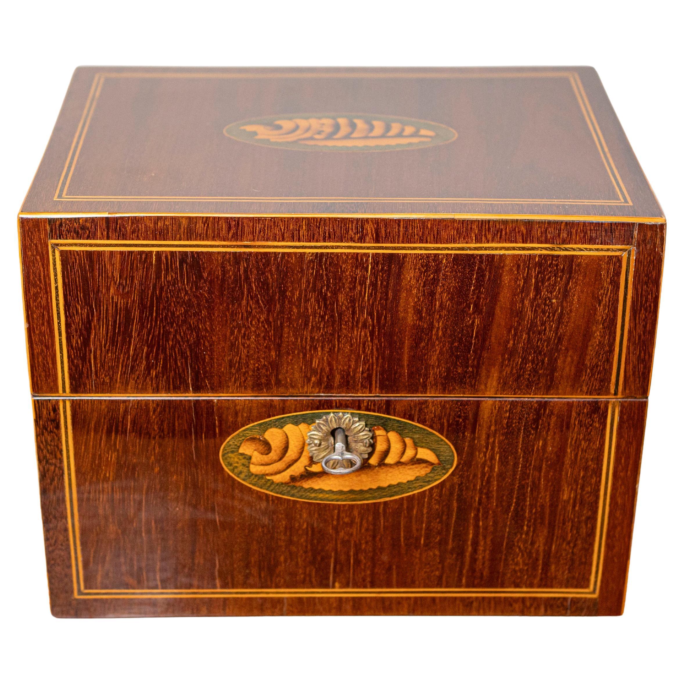 Caja danesa de caoba de la década de 1840 con marquetería de concha de fresno, bandas y asas laterales
