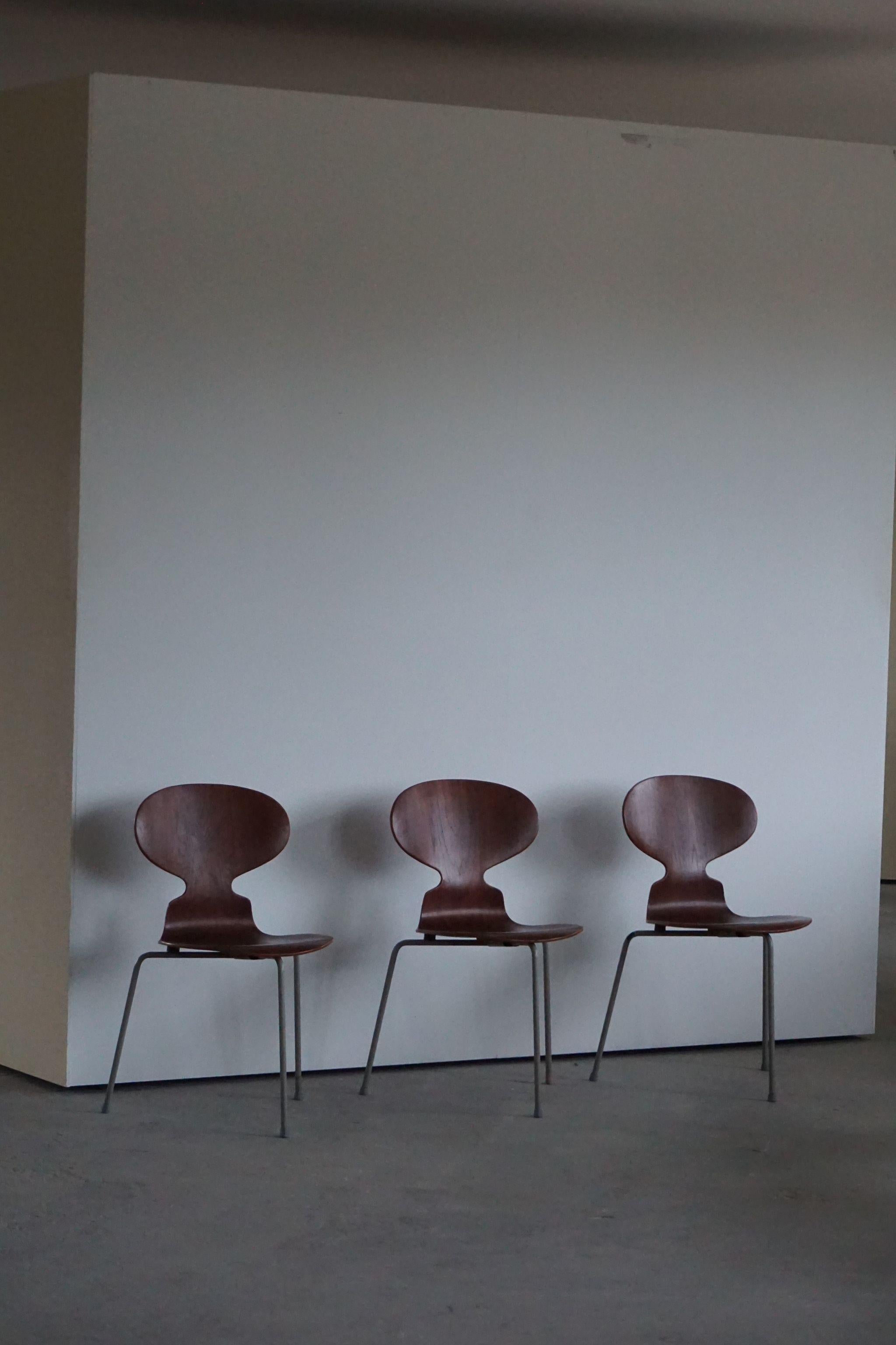 Danish Ant Dining Chair in Teak by Arne Jacobsen for Fritz Hansen, 1960s 1