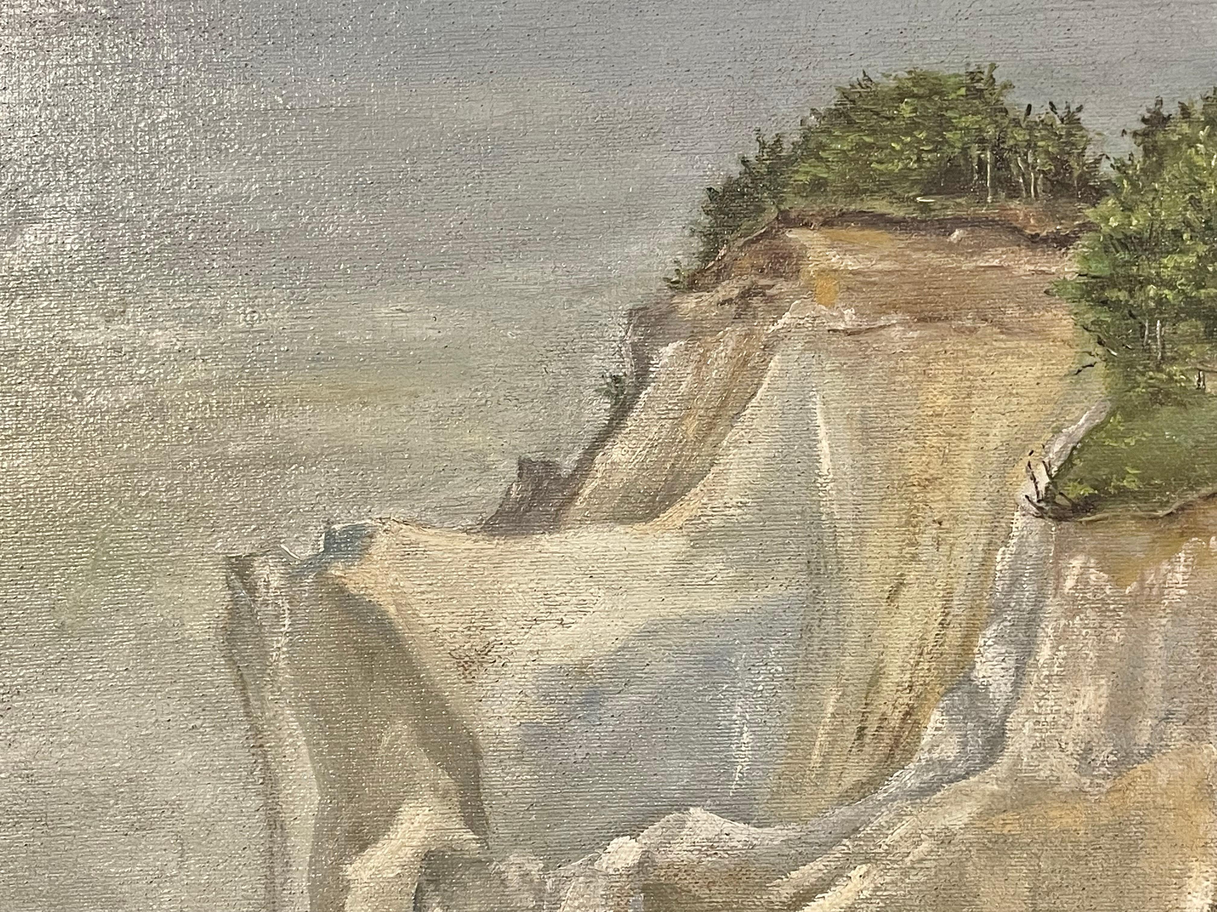 Dänische antike Landschaft Naturalist Ölgemälde aus 1915 von Møns Klint im Angebot 2