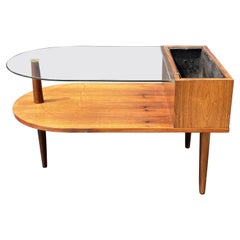Danish Coffee Table and Planter