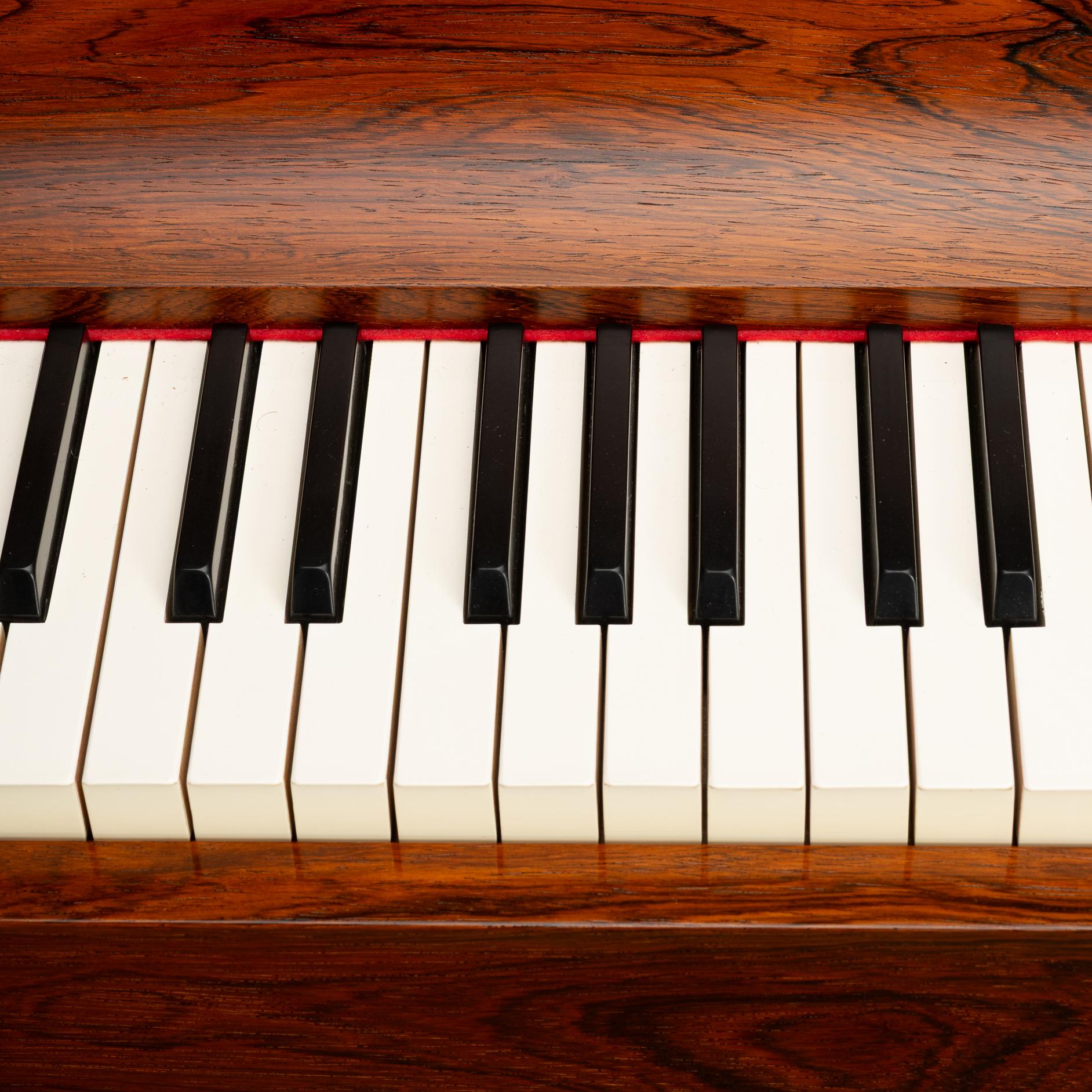 Pianetta danese di design del Medioevo di Louis Zwicki in palissandro, anni '60 in vendita 7