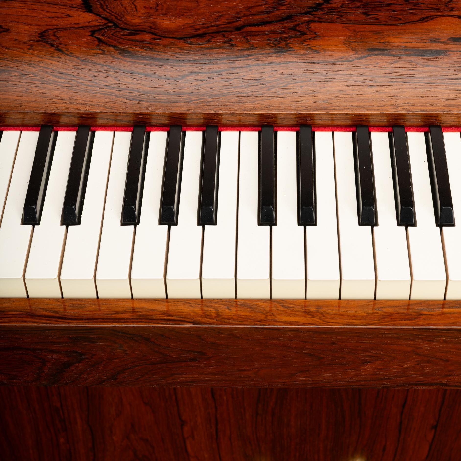 Pianetta danese di design del Medioevo di Louis Zwicki in palissandro, anni '60 in vendita 8