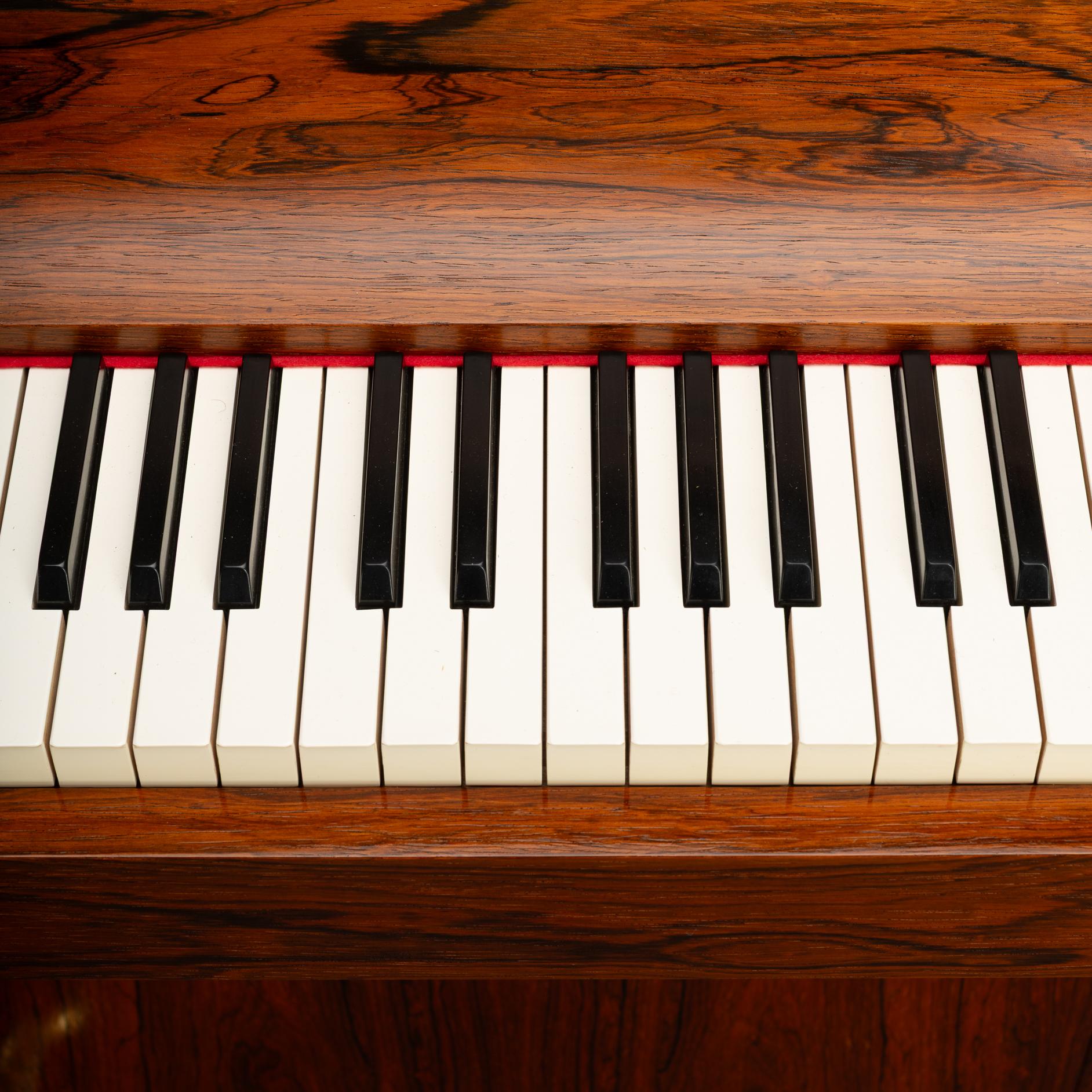 Pianetta danese di design del Medioevo di Louis Zwicki in palissandro, anni '60 in vendita 10