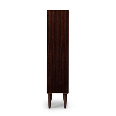 Danish Design Rosewood Bookcase with LP rack, 1960s