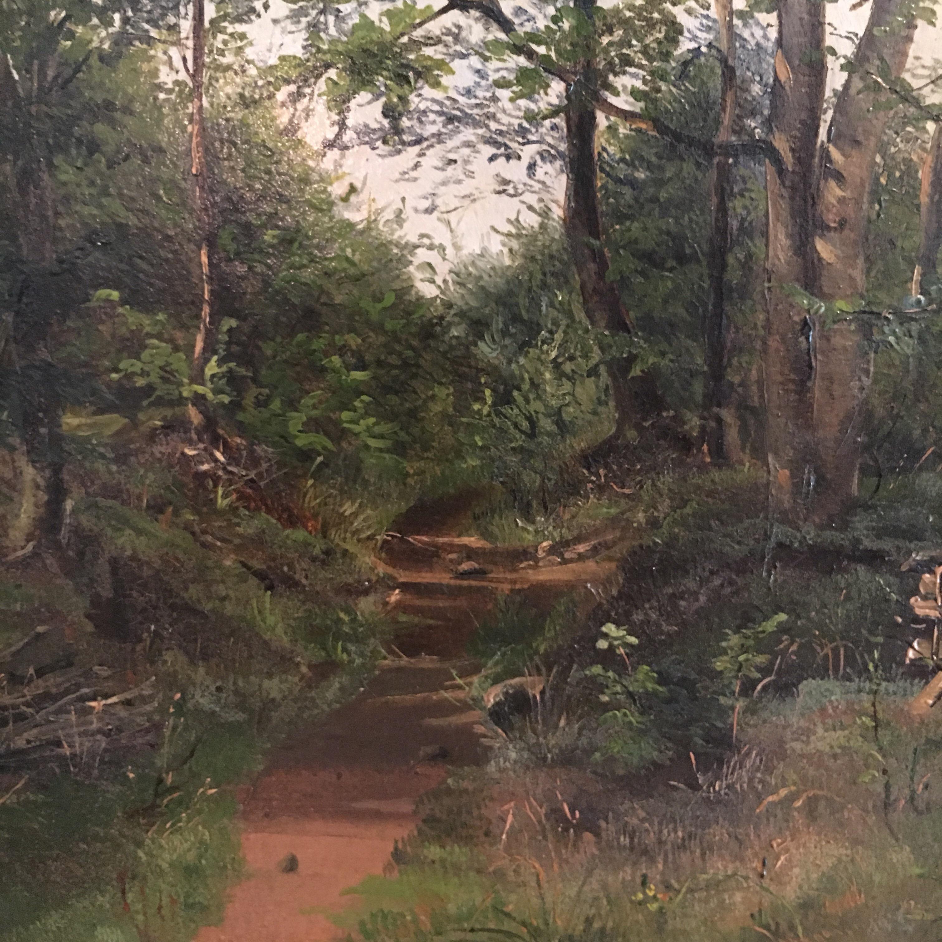 Danish Forest Scene 1