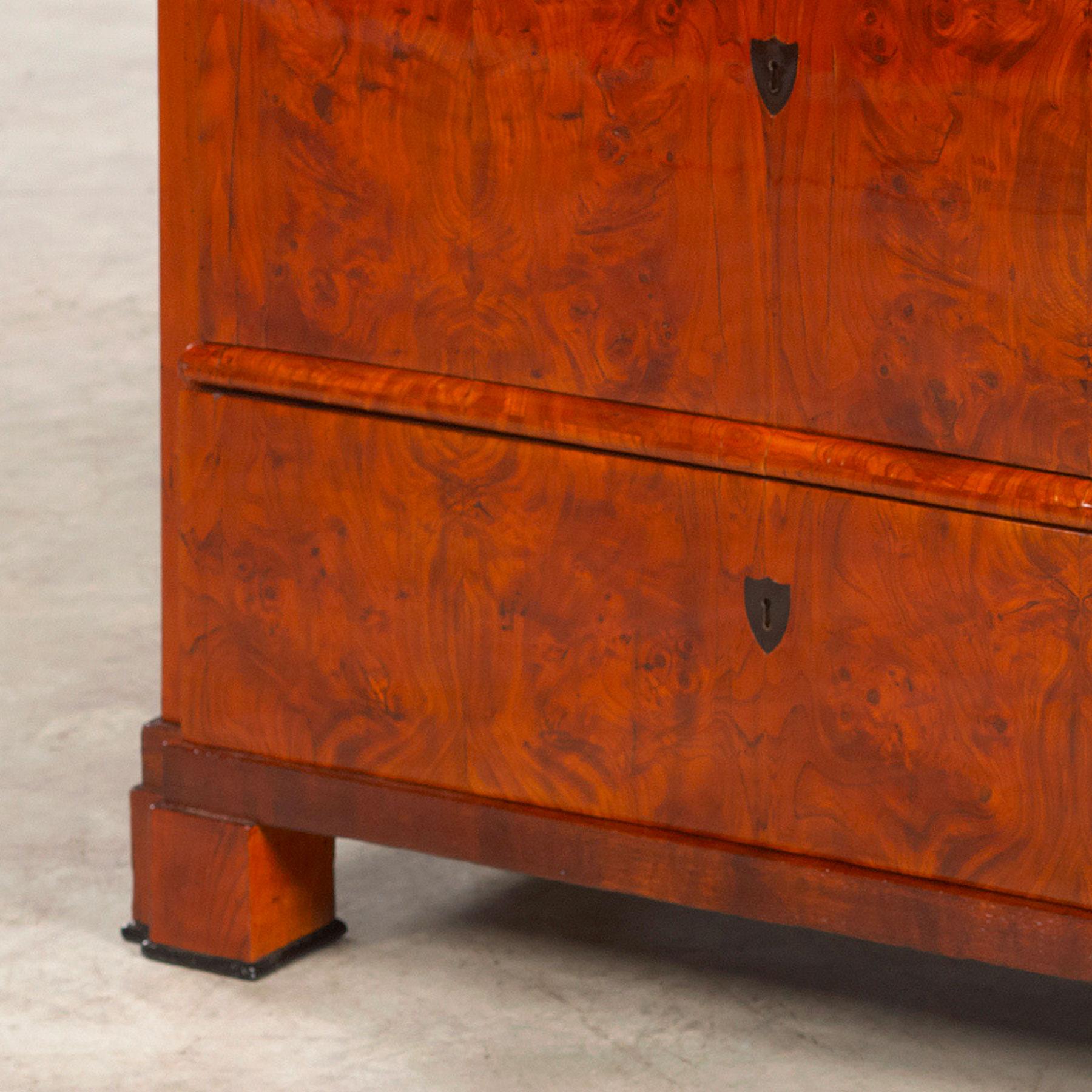 19th Century Danish Late Empire Chest of Drawers