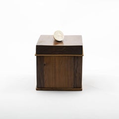 Danish Late Empire Tobacco Box in Nobel Wood, Lid with Walrus Tooth
