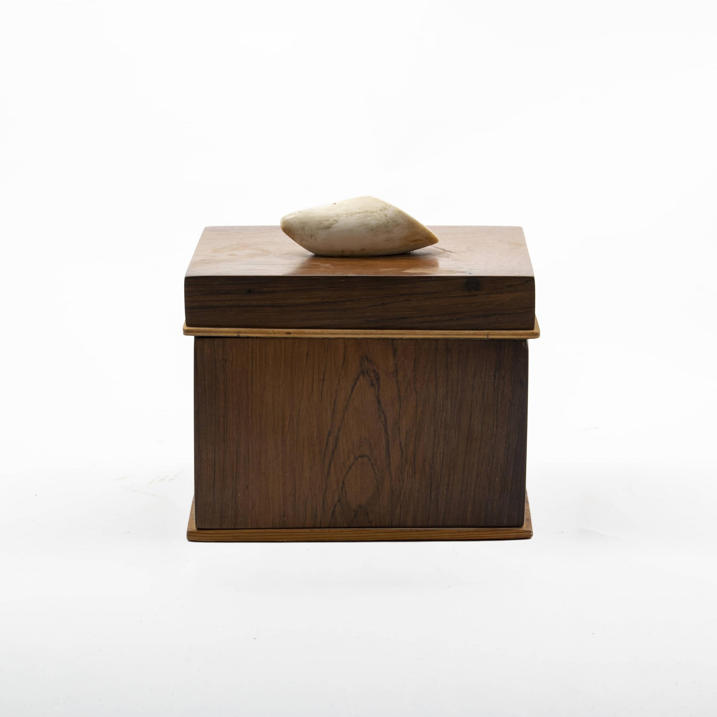 Danish Late Empire Tobacco Box in Nobel Wood, Lid with Walrus Tooth In Good Condition For Sale In Kastrup, DK
