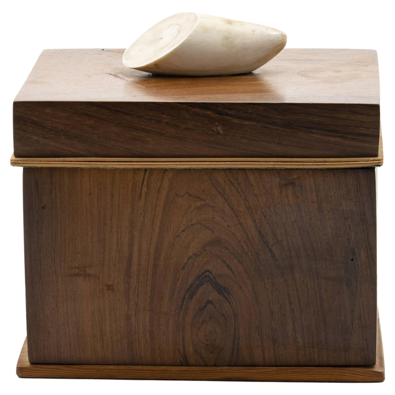 Danish Late Empire Tobacco Box in Nobel Wood, Lid with Walrus Tooth