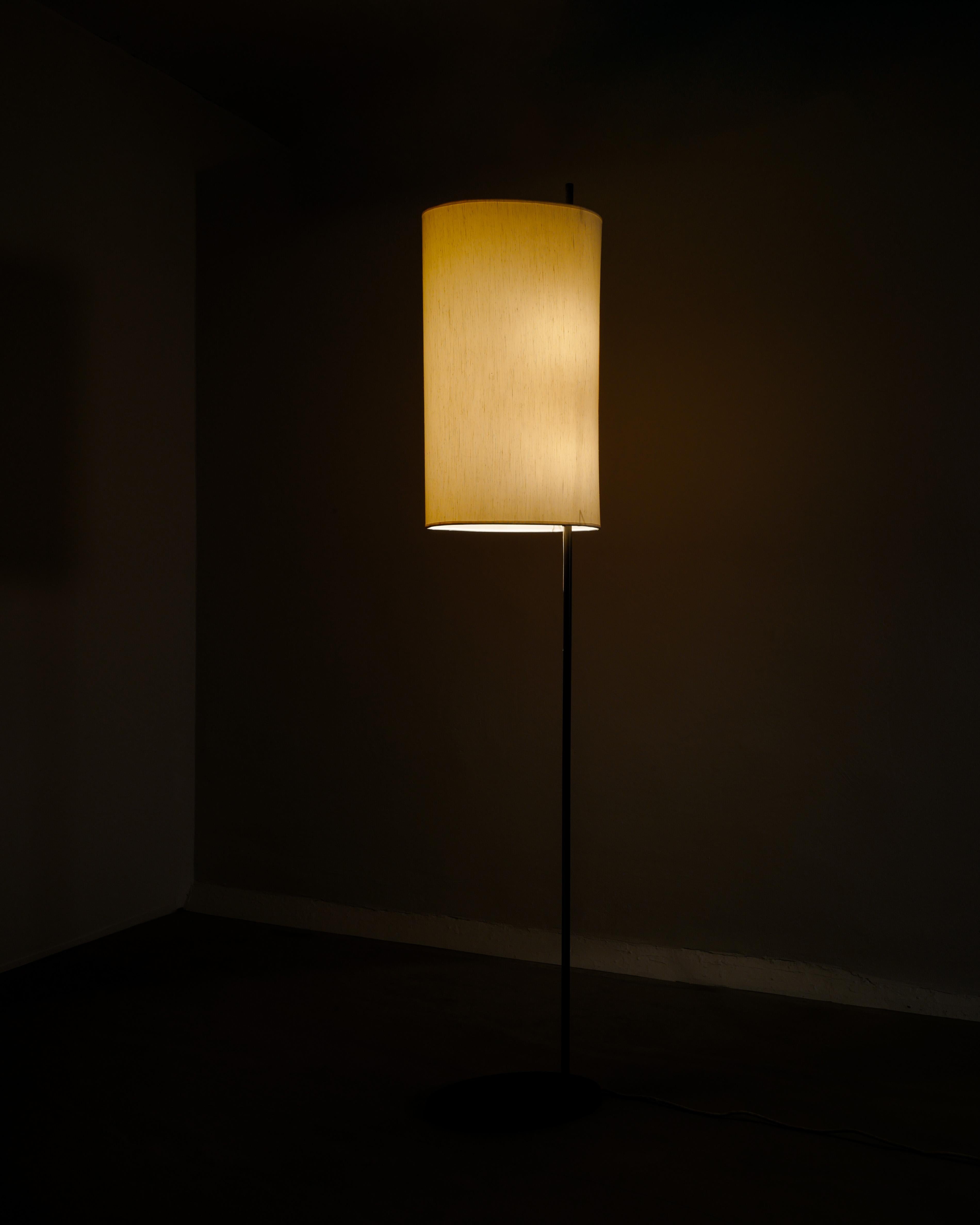 Metal Danish Mid Century Floor Lamp 