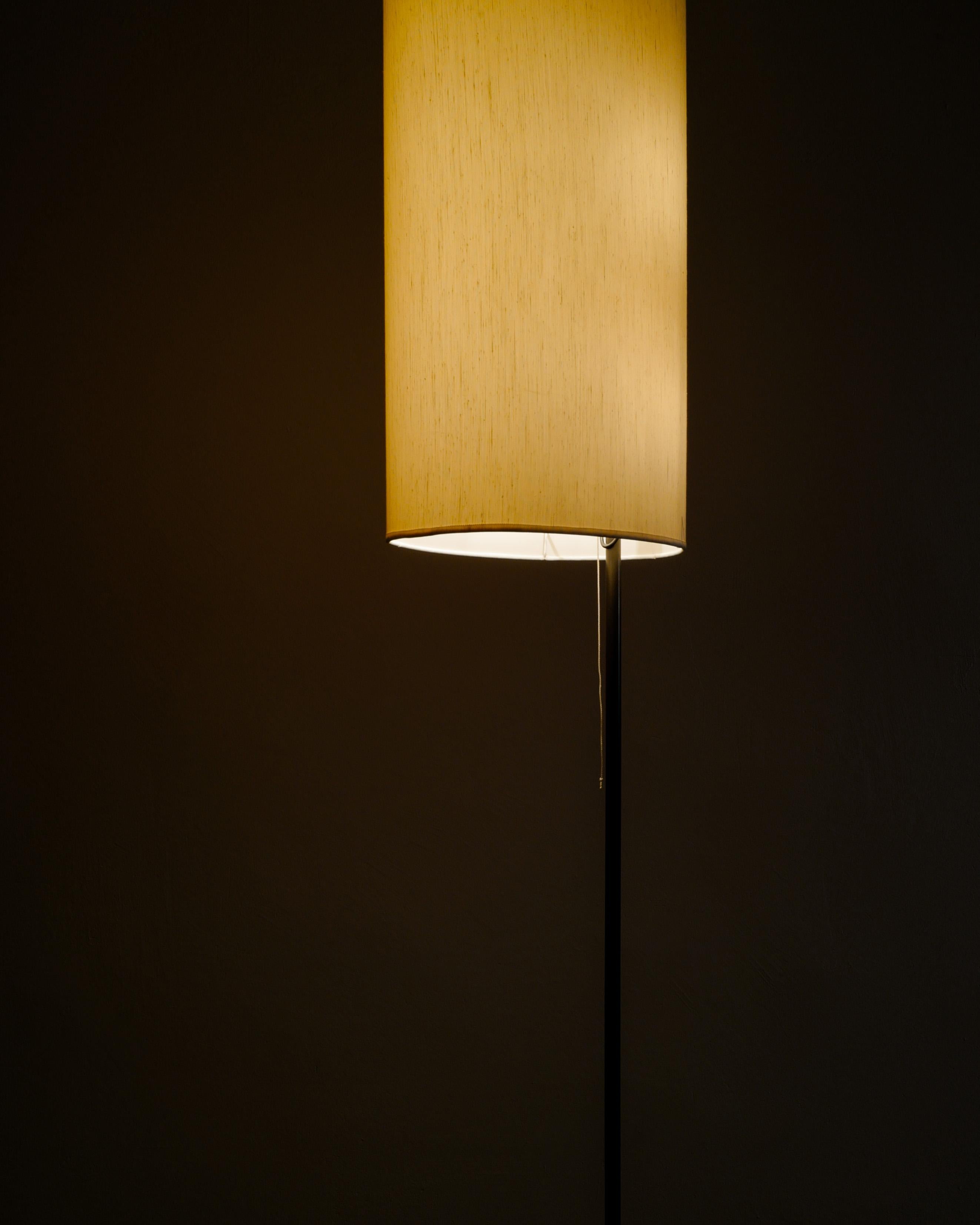 Danish Mid Century Floor Lamp 