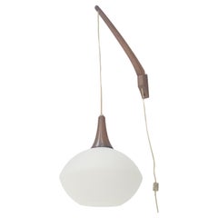 Danish Mid Century Modern Fully Adjustable Teak Swing Scones Frost Glass Shade