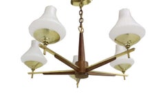 Danish Mid Century Modern Light Fixture Chandelier 5 Frosted Glass Shades MINT!