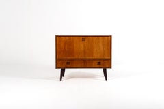 Danish Mid Century Modern Rosewood Cabinet, 960s Design