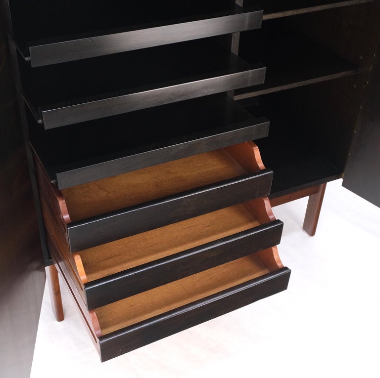 Danish Mid Century Modern Rosewood Two Door 9 Drawers Chest Dresser