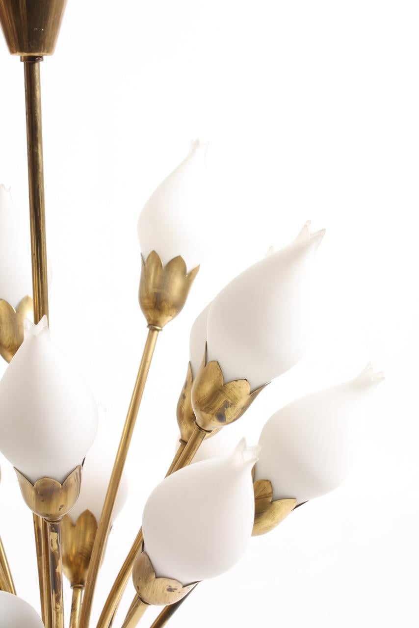 1950s tulip chandelier in brass and white glass designed and made by Fog & Mørup, Denmark. Great original condition.