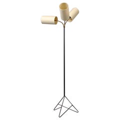 Danish Midcentury Floor Lamp, 3 Headed