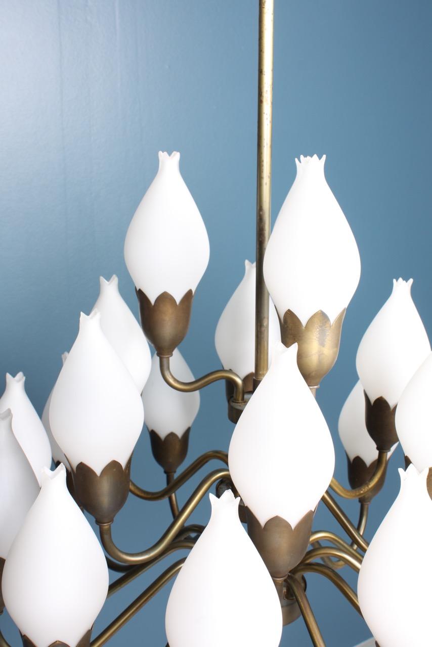 tulpenkronleuchter aus Messing und weißem Glas aus den 1950er Jahren, entworfen und hergestellt von Fog & Mørup, Dänemark. Toller Originalzustand.