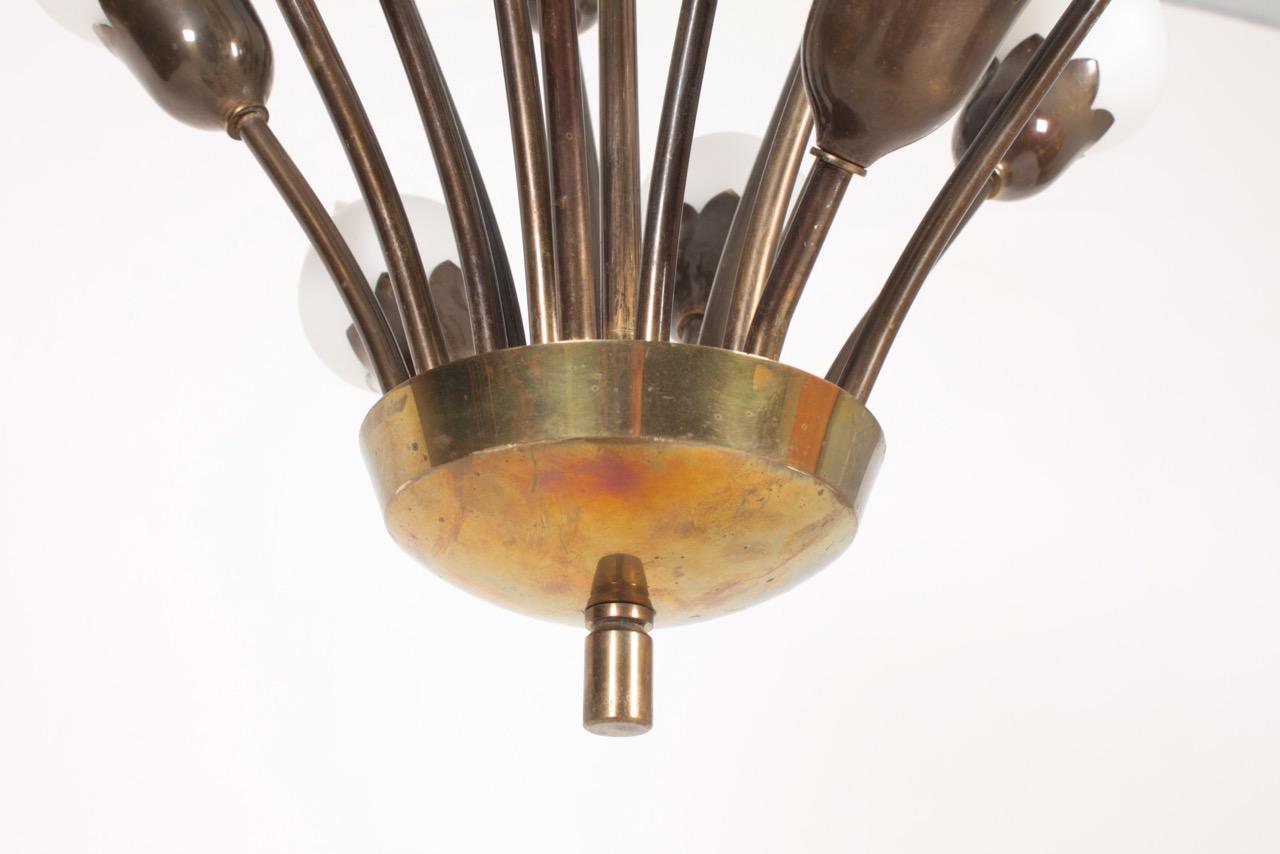 1950s tulip chandelier in brass and white glass designed and made by Fog & Mørup, Denmark. Great original condition.