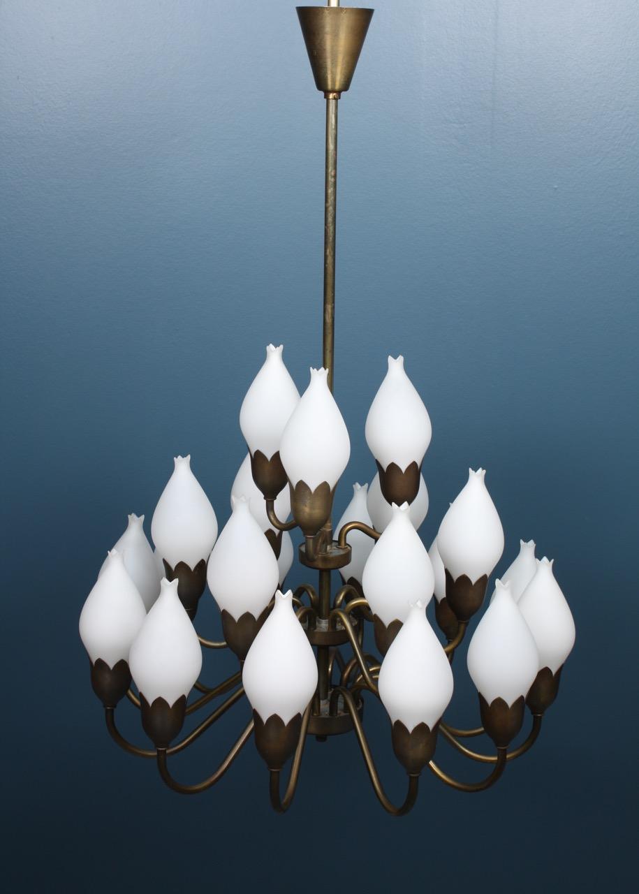 Danish Midcentury Tulip Chandelier in Brass and Glass by Fog & Mørup, 1950s In Excellent Condition For Sale In Lejre, DK